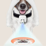Pet Social Light Accessory for Every Pet Owner