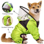 Furry Friend Dry and Fashionable with Our Stylish Small Pet Raincoat